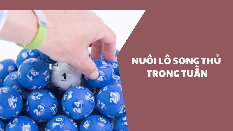 Song thủ lô là gì Nuôi lô song thủ trong tuần lợi nhuận cao